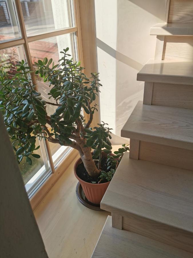 9 Min From Palanga! Luxury House On The River And Sauna Kretinga Εξωτερικό φωτογραφία